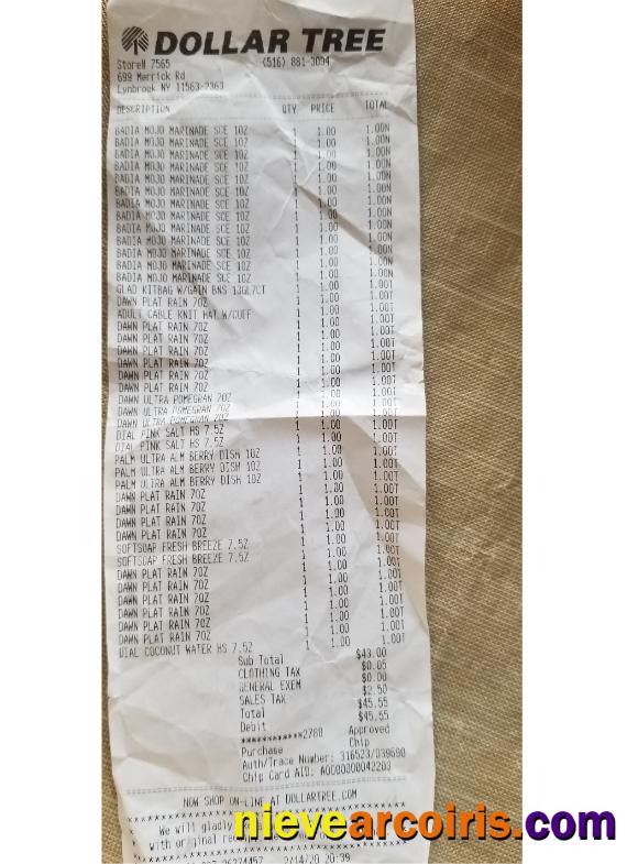 Dollar tree store check